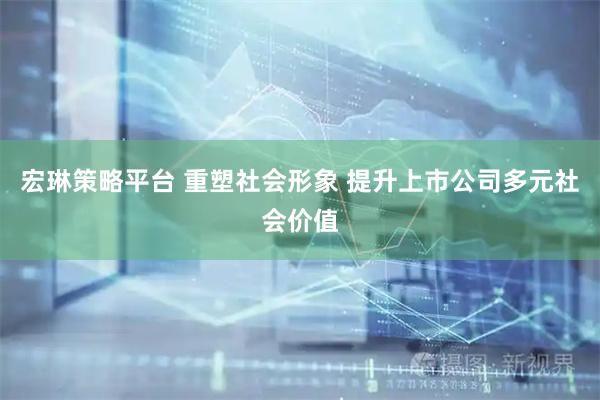 宏琳策略平台 重塑社会形象 提升上市公司多元社会价值
