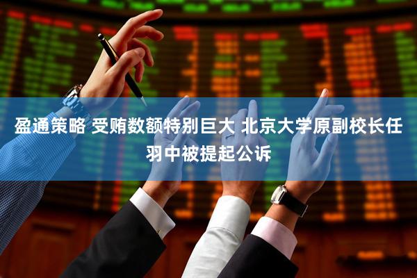 盈通策略 受贿数额特别巨大 北京大学原副校长任羽中被提起公诉
